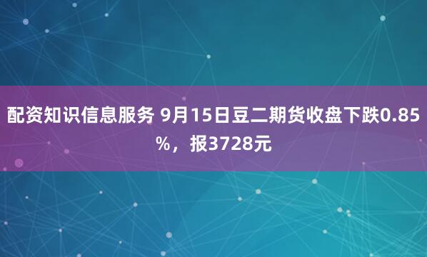 配资知识信息服务 9月15日豆二期货收盘下跌0.85%，报3728元